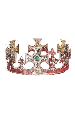 Bristol Novelty Book Characters Gold Kings Crown Accessory