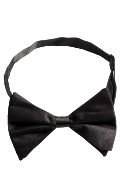 Bristol Novelty Black Bow Tie Accessory 1920's