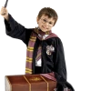 Rubies Childrens Deluxe Harry Potter Costume And Trunk Book Characters
