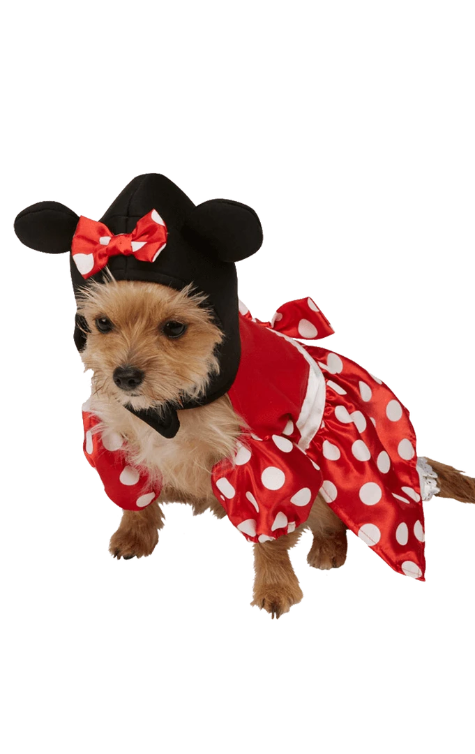 Rubies Minnie Mouse Dog Costume Book Characters 3 Rubies Minnie Mouse Dog Costume Book Characters