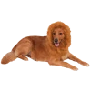 Rubies Animals Lion Mane Dog Accessory