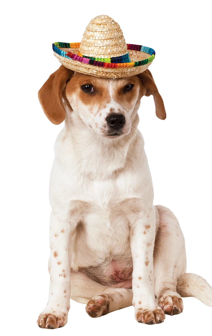 Rubies Enchiwawa Sombrero Dog Costume Around The World 3 Rubies Enchiwawa Sombrero Dog Costume Around The World