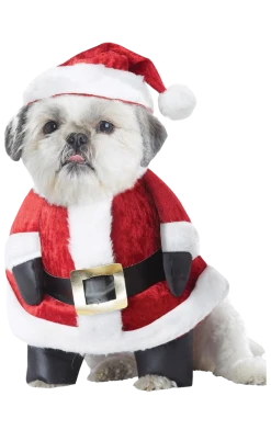 California Costumes Santa Paws Christmas Dog Costume