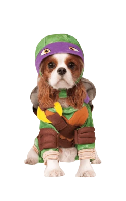 Rubies Cartoons Donatello - Ninja Turtles Dog Costume