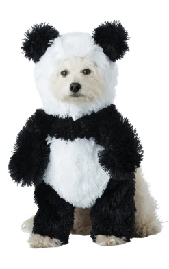 California Costumes Panda Pooch Dog Costume Animals