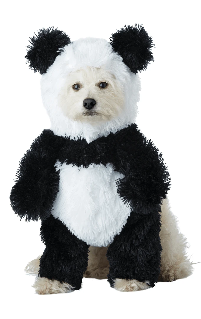 California Costumes Panda Pooch Dog Costume Animals 3 California Costumes Panda Pooch Dog Costume Animals