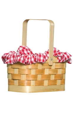 Rasta Imposta Gingham Basket Accessory