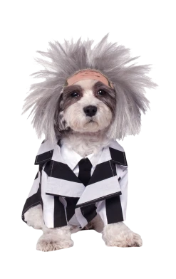 Rubies Beetlejuice Dog Costume