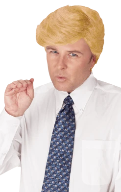 Palmer Comb Over Candidate Wig