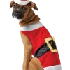 Rasta Imposta Santa Claws Dog Costume Christmas
