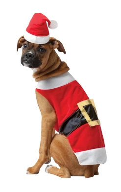 Rasta Imposta Santa Claws Dog Costume Christmas