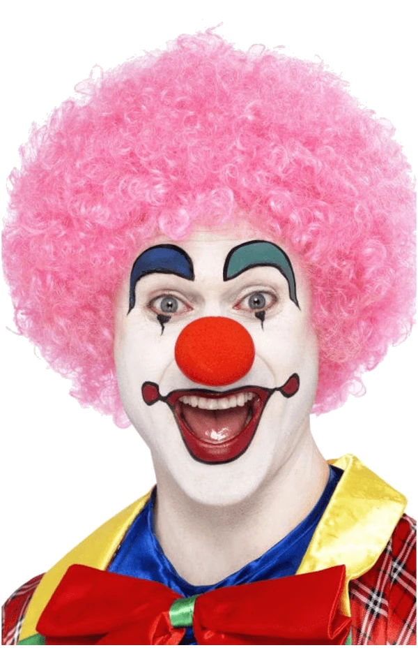 Bristol Novelty Pink Clown Afro Wig 4 Bristol Novelty Pink Clown Afro Wig