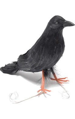 Bristol Novelty Evil Villains Black Crow Prop Accessory