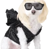 California Costumes Lady Gaga Dog Costume 2 California Costumes Lady Gaga Dog Costume