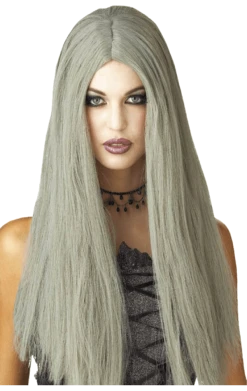 Palmer All Accessories Long Grey Wig