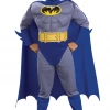 Rubies Kids Muscle Blue Batman Costume Book Characters