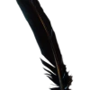 Generic Black Turkey Feather