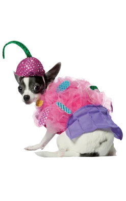 Rasta Imposta Treat Time Dog Costume