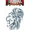 Tinsley Transfers Lions & Tigers Tribal Lion Temporary Tattoo
