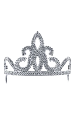 Bristol Novelty Book Characters Silver Tiara Accessory