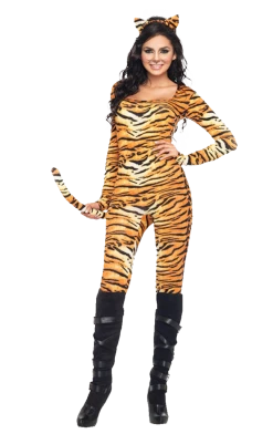 Dreamgirl Womens Wild Tiger Costume