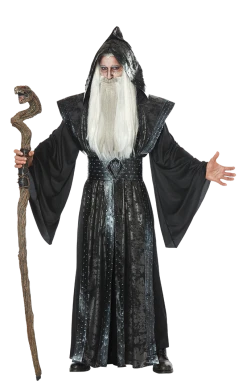 California Costumes Mystic Wizard Costume Harry Potter