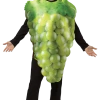 Rasta Imposta Adult Novelty Green Grapes Costume Food & Drink 1 Rasta Imposta Adult Novelty Green Grapes Costume Food & Drink