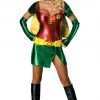 Rubies Book Characters Ladies Superhero Robin Costume