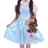 Generic Childrens Wizard Of Oz Dorothy Costume