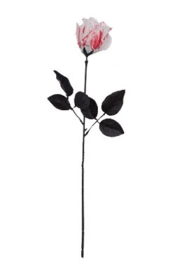 Bristol Novelty Single Bloody White Rose